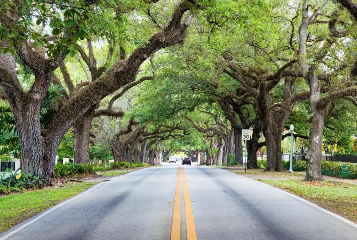 Hotel Casa Coral Coral Gables Zewnętrze zdjęcie
